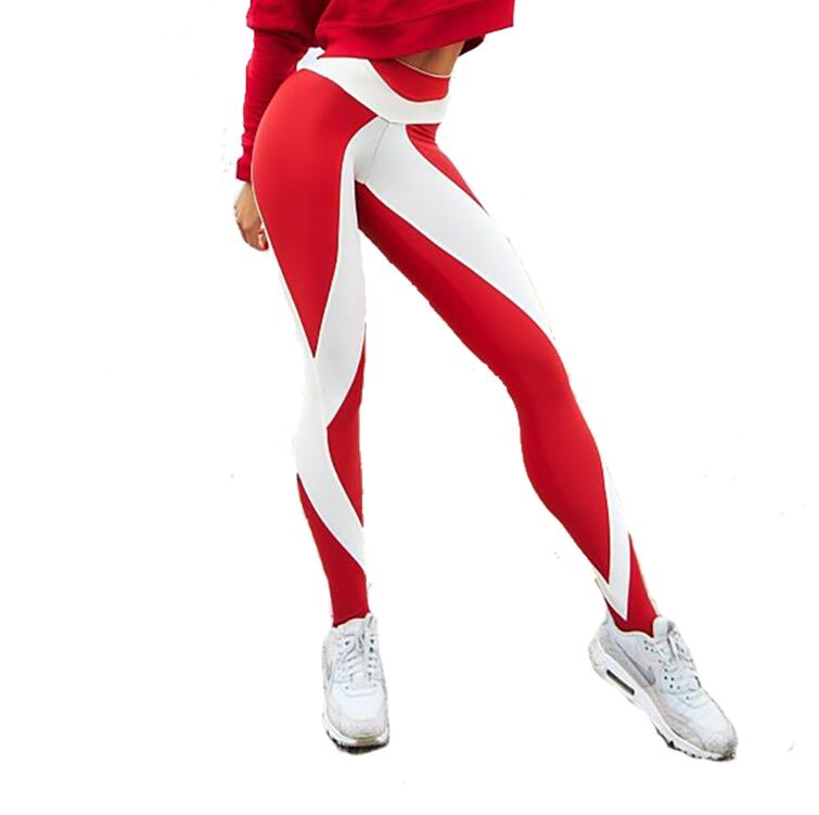 Women's Sport Style High Waist Elastic Leggings