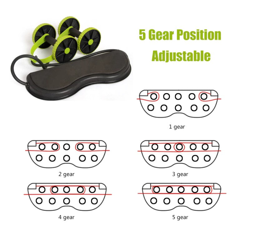 Home Gym AB Wheel